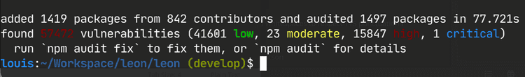 npm vulnerabilities